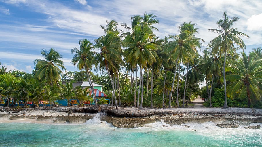 Landscape Photo of Seashore Under Blue Sky, beach, beautiful HD wallpaper