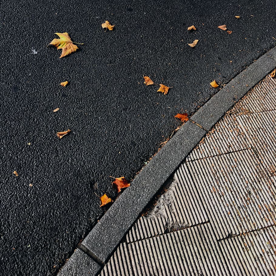 brown dried leaves on gray concrete ground, asphalt, leaf, fall HD wallpaper