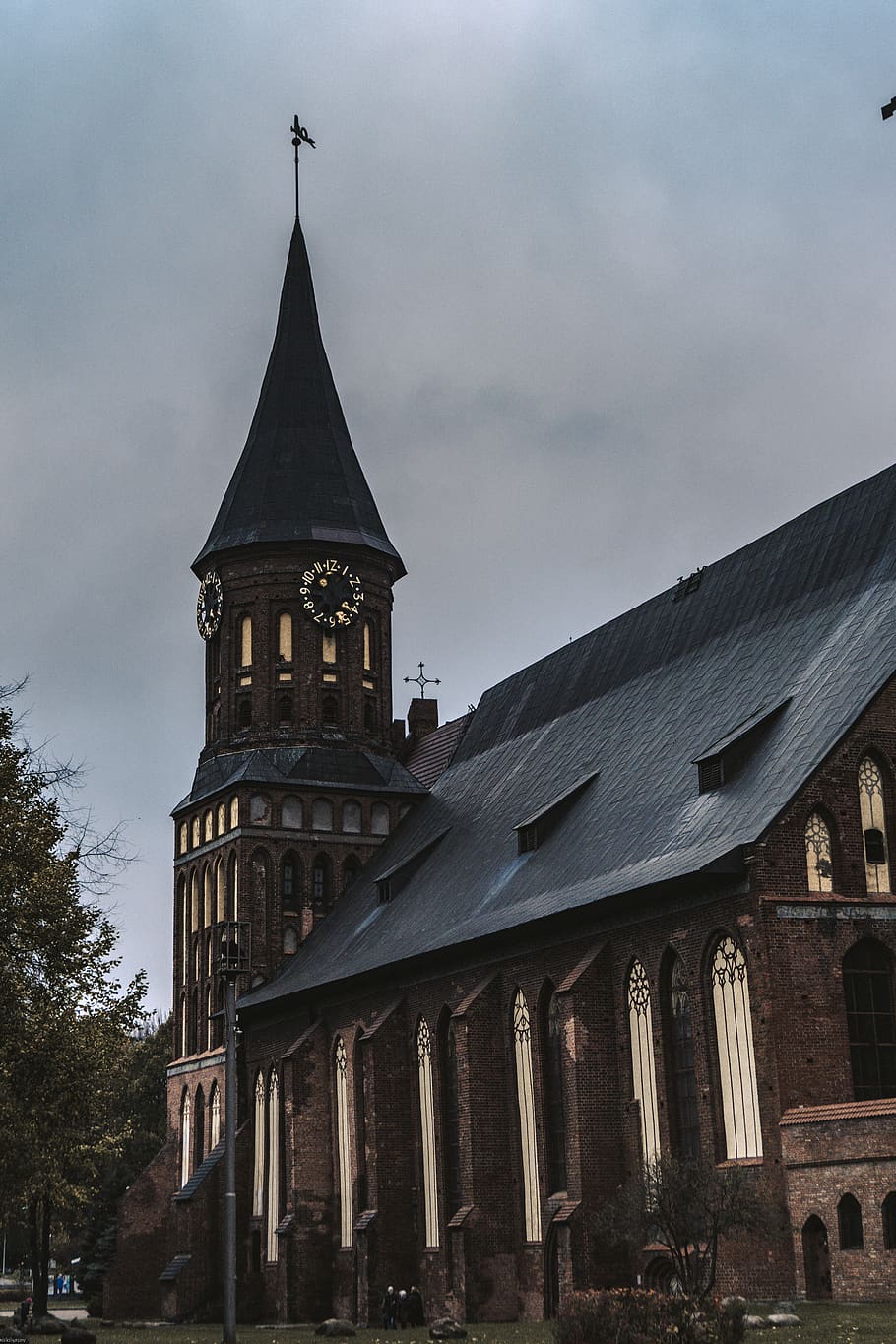 trees, cathedral, konigsberg, sky, gray sky, building exterior HD wallpaper