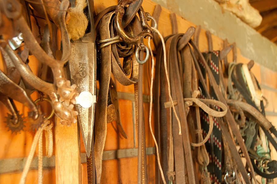 harnesses, cell, ropes, leather, horse, no people, hanging HD wallpaper