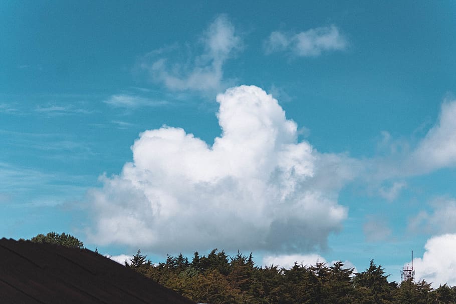 clouds, forms, figures, trees, mountain, sky, day, forest, wallpapers HD wallpaper