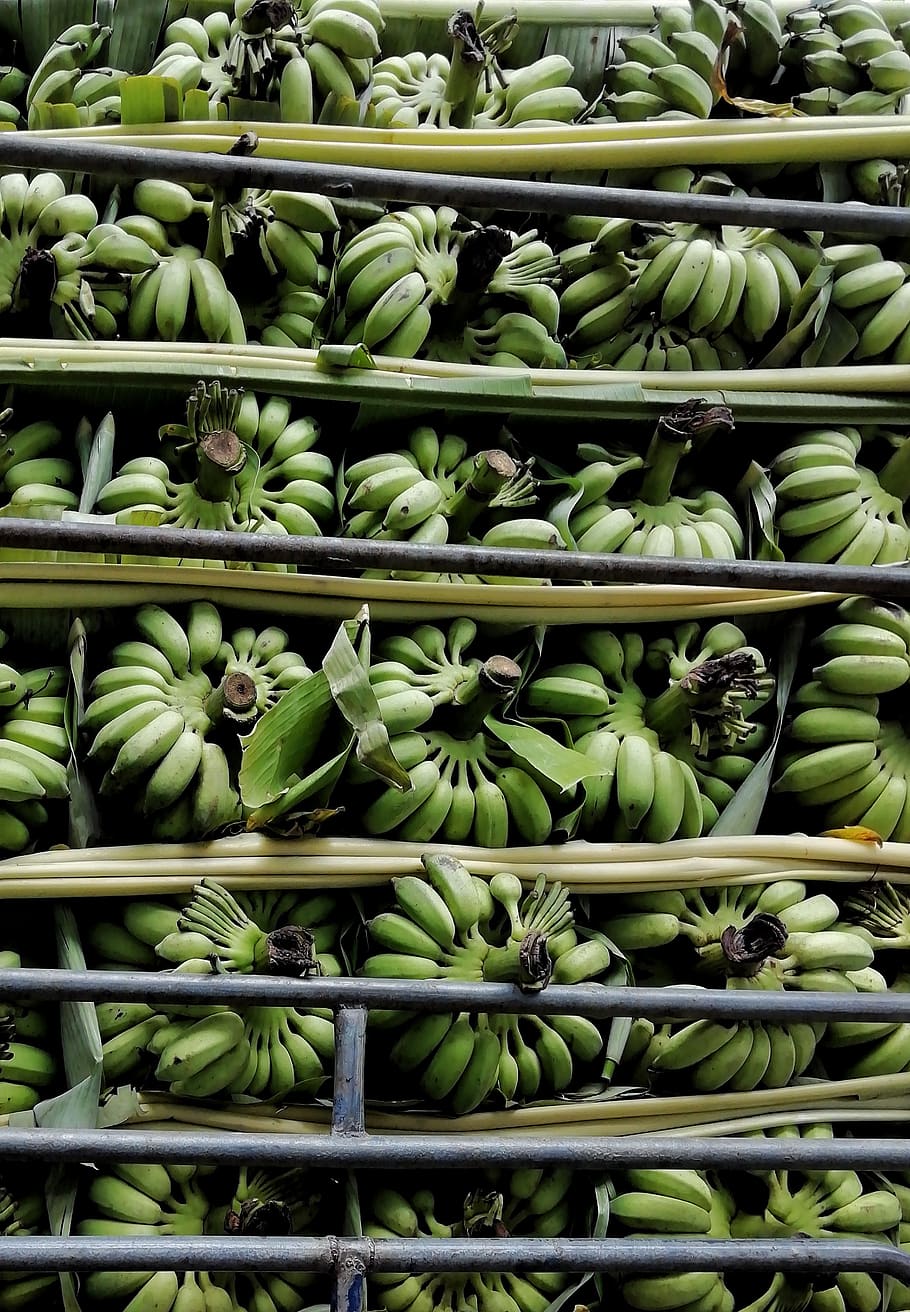 banana, fruit, array, green color, healthy eating, food and drink HD wallpaper