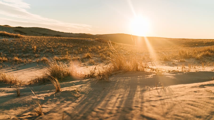 sand dune grass, nature, outdoors, light, flare, sunlight, sky HD wallpaper