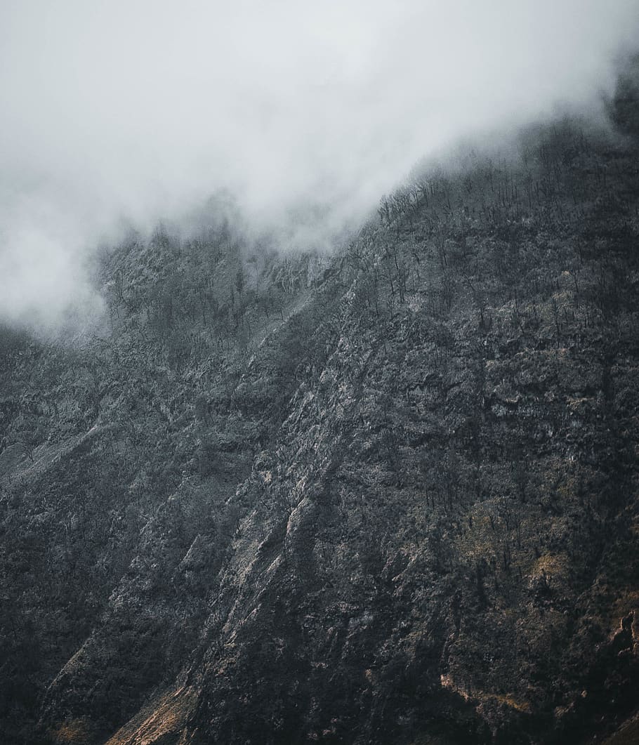 mountain covered by fog, nature, outdoors, weather, mist, cliff HD wallpaper