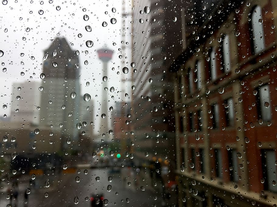 rain drops on clear glass panel, wet, glass - material, window HD wallpaper