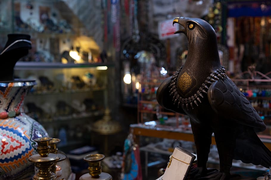 black hawk figurine, animal, bird, shelf, dinosaur, reptile, shop HD wallpaper