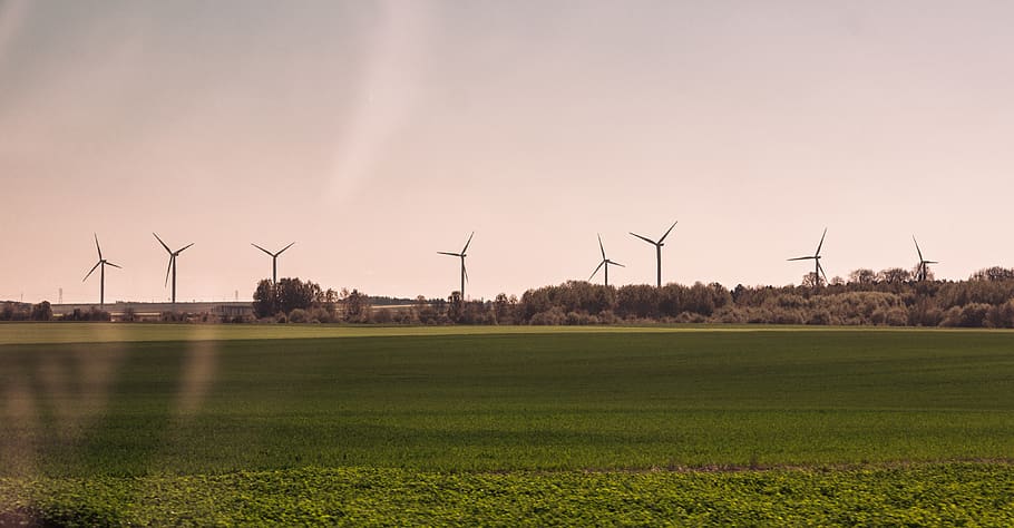 field, trees, wind turbine, fuel and power generation, environmental conservation HD wallpaper