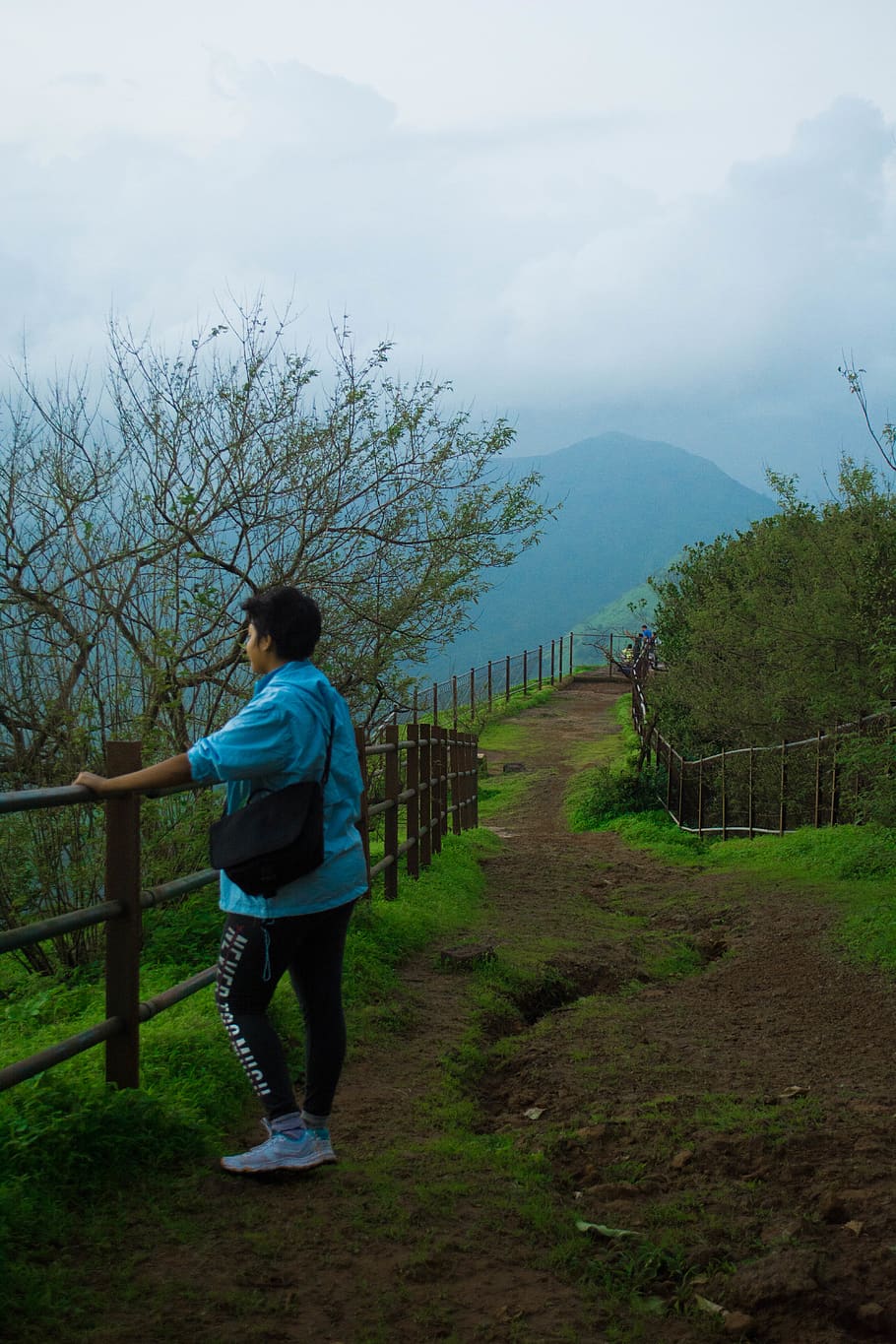 india, matheran, one person, full length, plant, rear view HD wallpaper