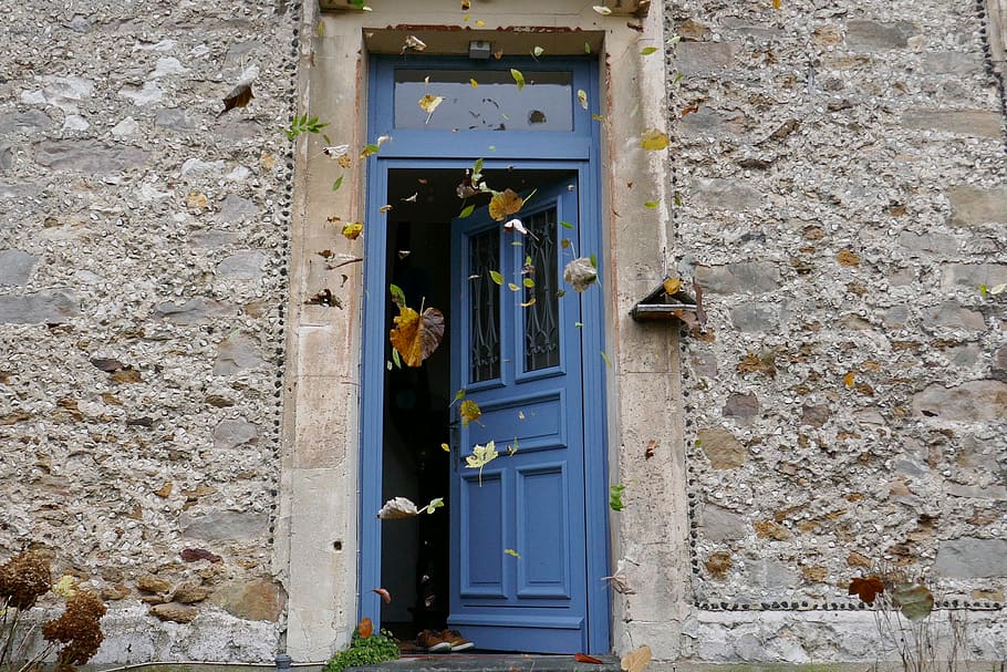 autumn, falling, leaves, leaf, built structure, architecture HD wallpaper