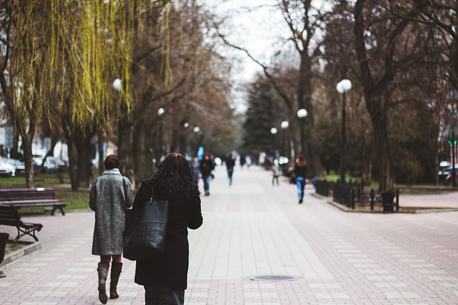 person walking on pathway, rear view, women, real people, tree HD wallpaper