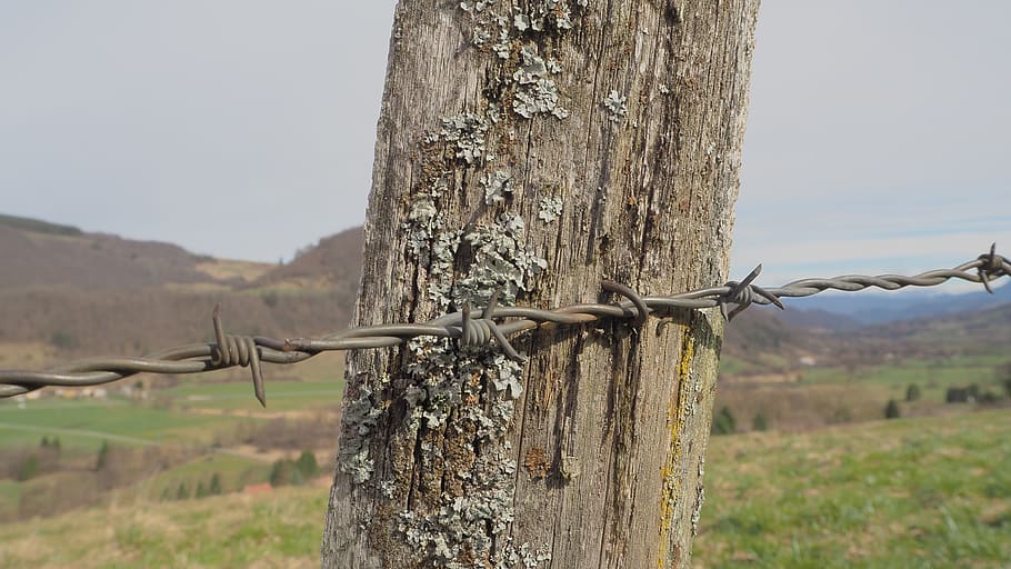 france, isere, metal, barbed wire, fence, security, safety HD wallpaper