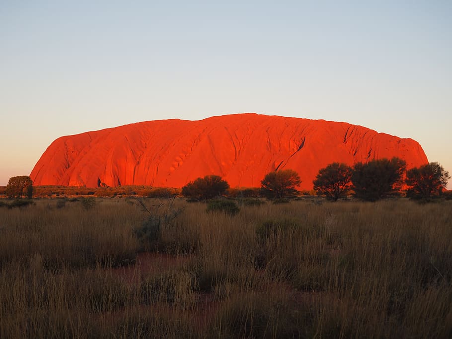 australia, sunset, uluru, sky, plant, tranquil scene, land HD wallpaper