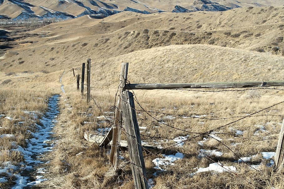 field, rusty, barbed wire, prairie, land, landscape, day, nature HD wallpaper