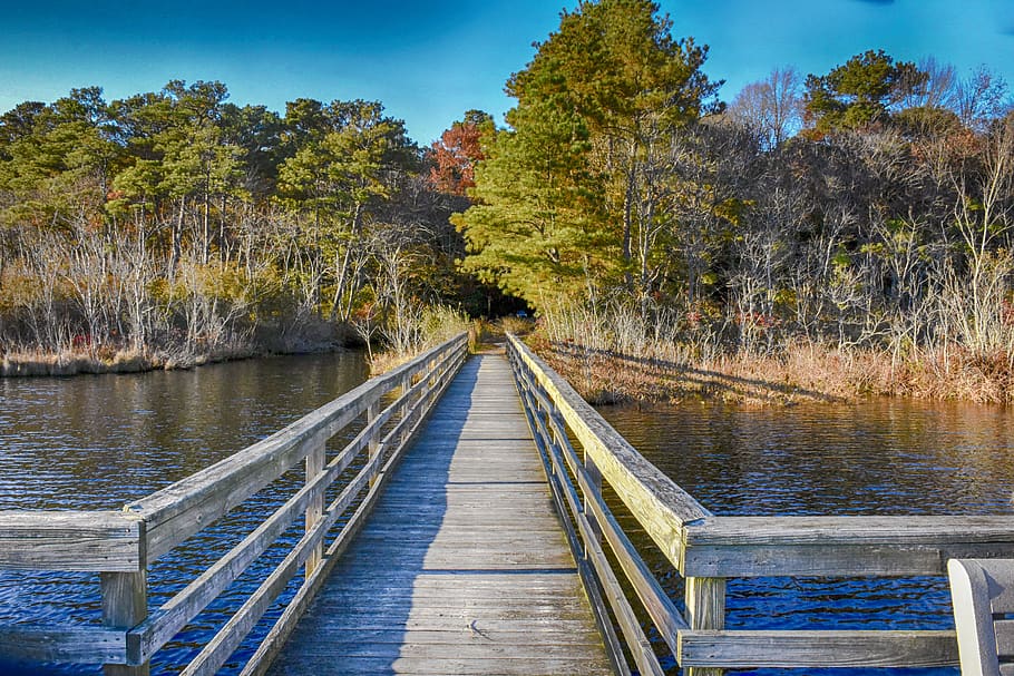 bridge, fall, autumn, scenic, leaves, water, trees, outdoor HD wallpaper