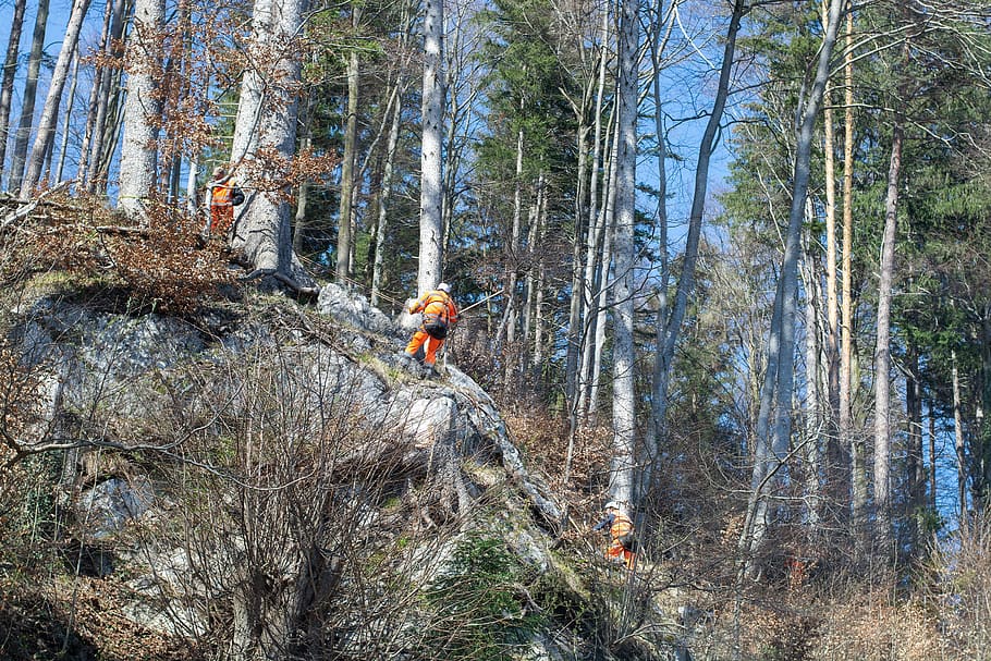 rock removal work, workers, out, nature, landscape management HD wallpaper
