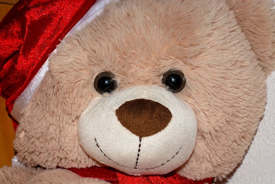 teddy, bear, teddy bear, brown, toys, stuffed animal, bears HD wallpaper