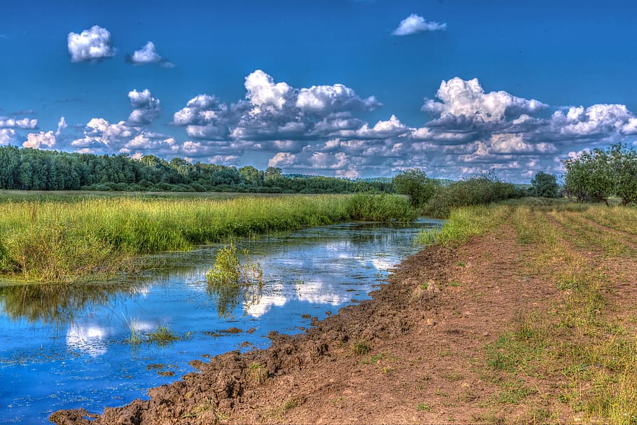 landscape, nature, clouds, forests, tree, sky, green, trees HD wallpaper