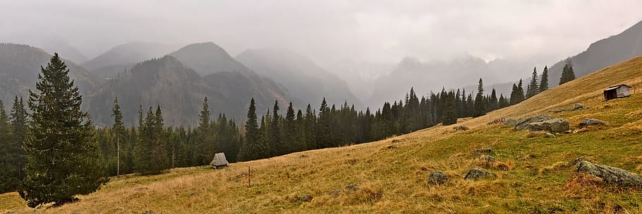 tatry, landscape, view, mountain, environment, mountain range HD wallpaper