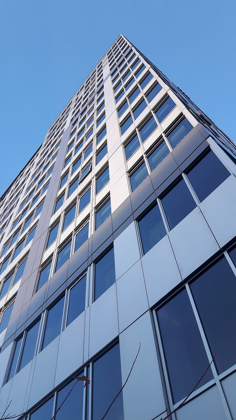 building, skyscraper, window, modern, building exterior, architecture HD wallpaper