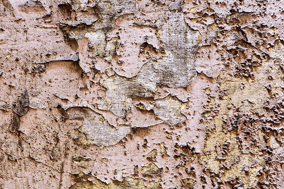 dried leaf, plant, tree, rock, ground, tree trunk, texture, mud, HD wallpaper