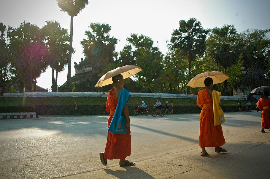 tree, plant, nature, real people, day, full length, men, traditional clothing HD wallpaper