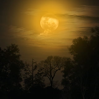 moon, night, moonlight, dark, fantasy, midnight, sky, love HD wallpaper