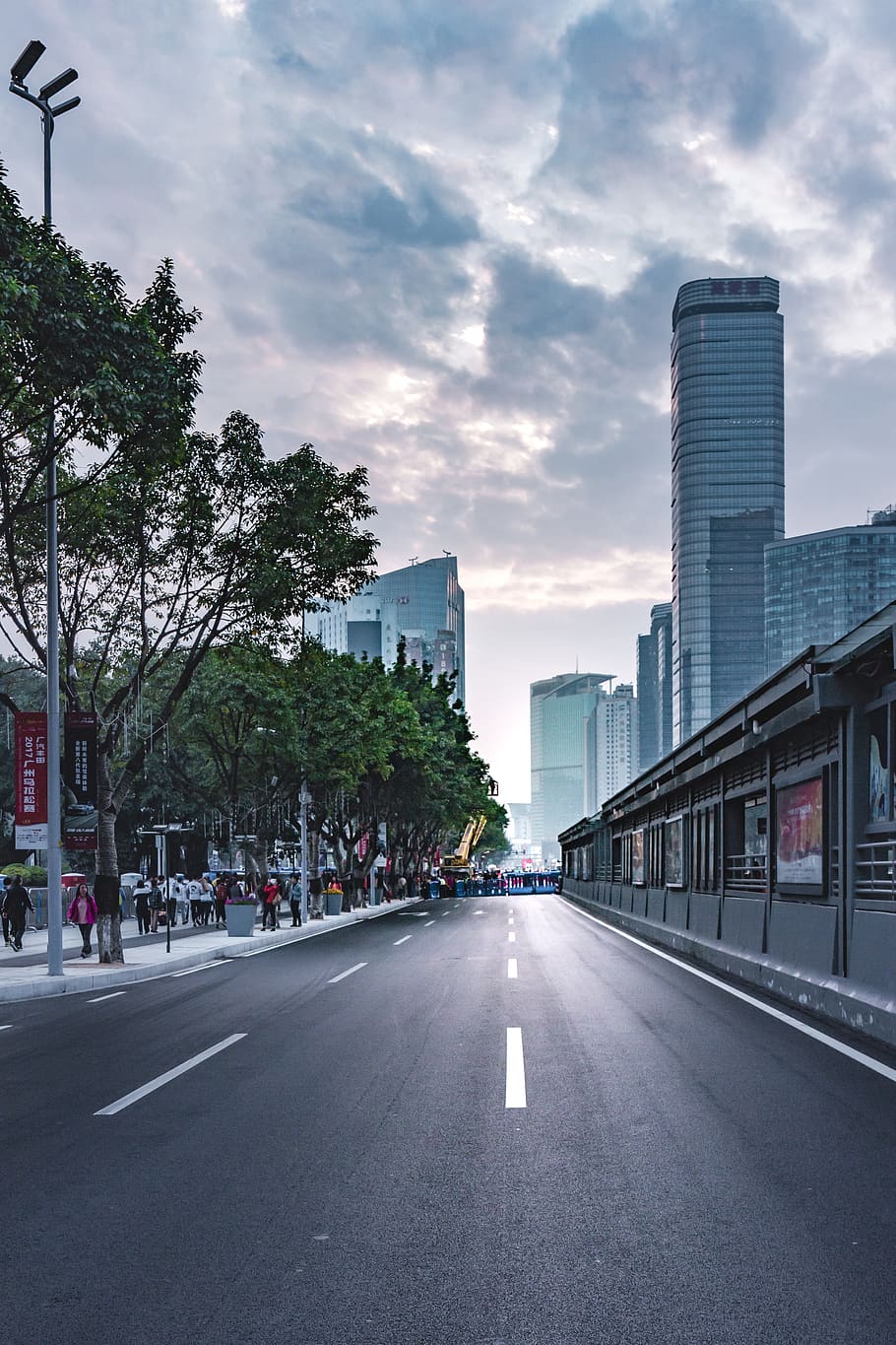 transportation, road, sky, tree, city, architecture, building exterior HD wallpaper