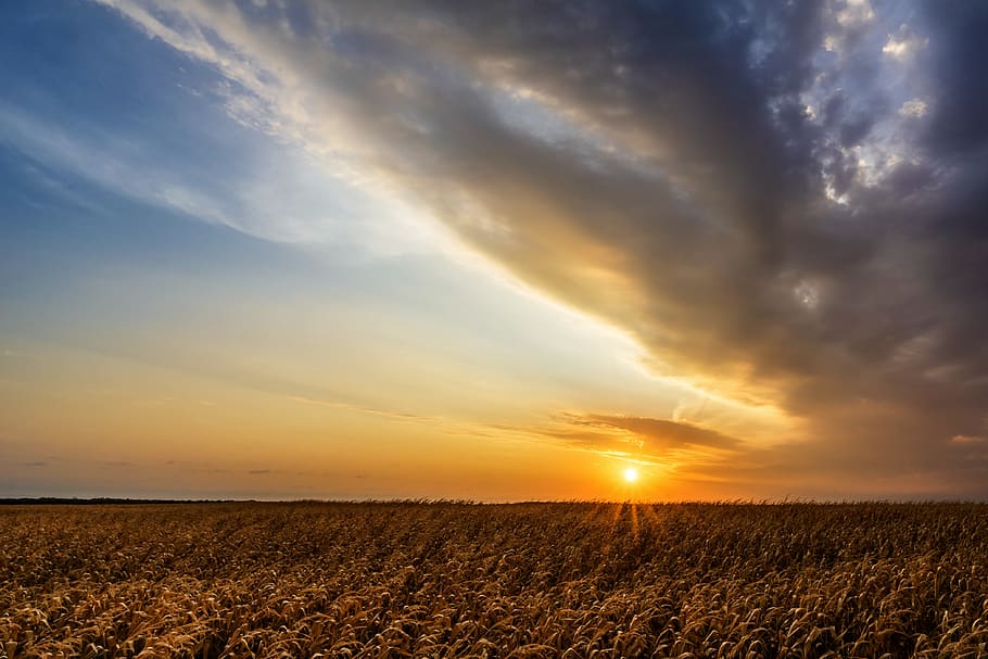 sunrise, dramatic, clouds, sky, dawn, orange, landscape, heaven HD wallpaper