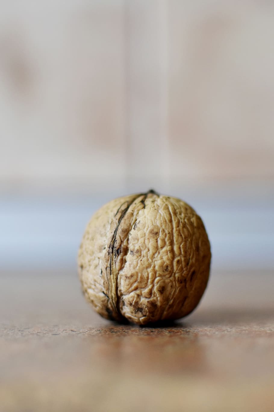 nut, walnut, omega source, food, vitamins, snack, brown, nutshell HD wallpaper