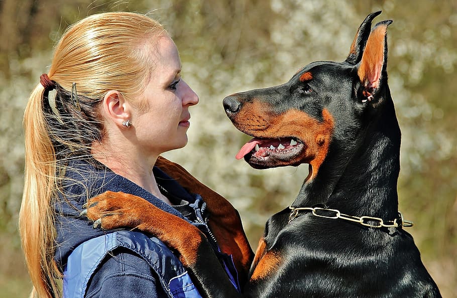 doberman, dog, hug, love, woman with a dog, friendship, canine, HD wallpaper