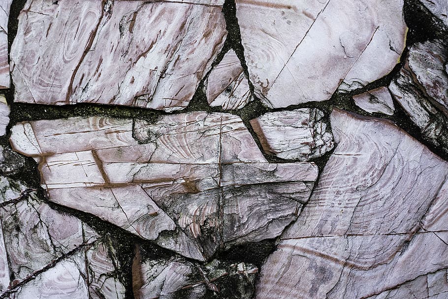 Brown Surface, close-up, dry, hardwood, rough, texture, tree stump HD wallpaper