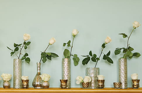 Clear Glass Vases, beautiful, blooming, branch, decoration, flora HD wallpaper