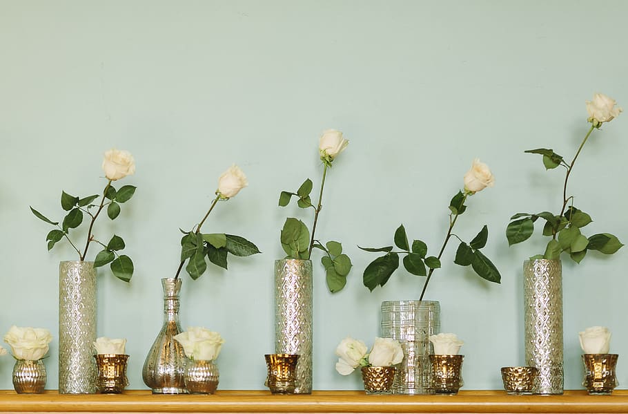 Clear Glass Vases, beautiful, blooming, branch, decoration, flora HD wallpaper