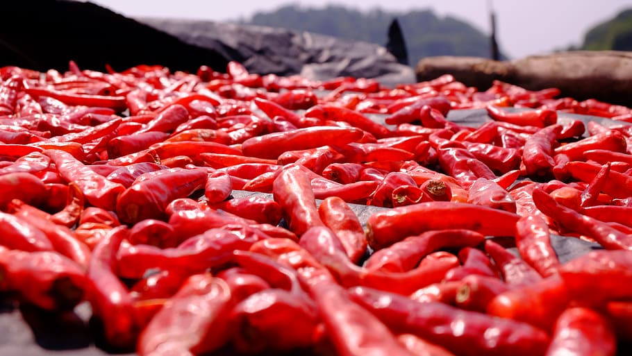 Pile of Red Chilli Pepper, chili, chili peppers, close-up, depth of field, HD wallpaper