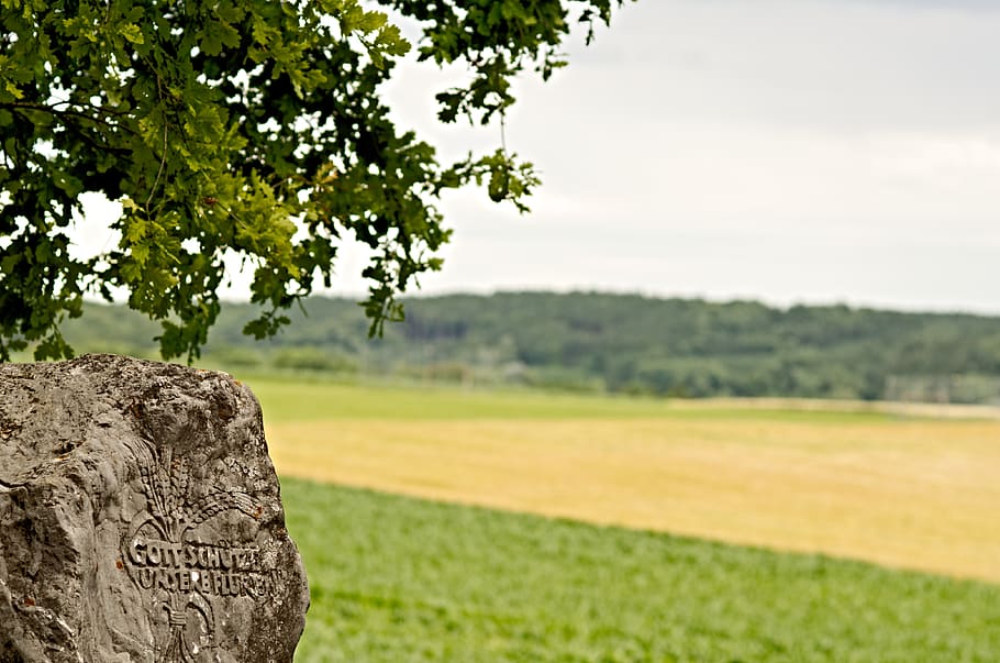 germany, seefeld, meiling, landscape, nature, god, oak, tree HD wallpaper
