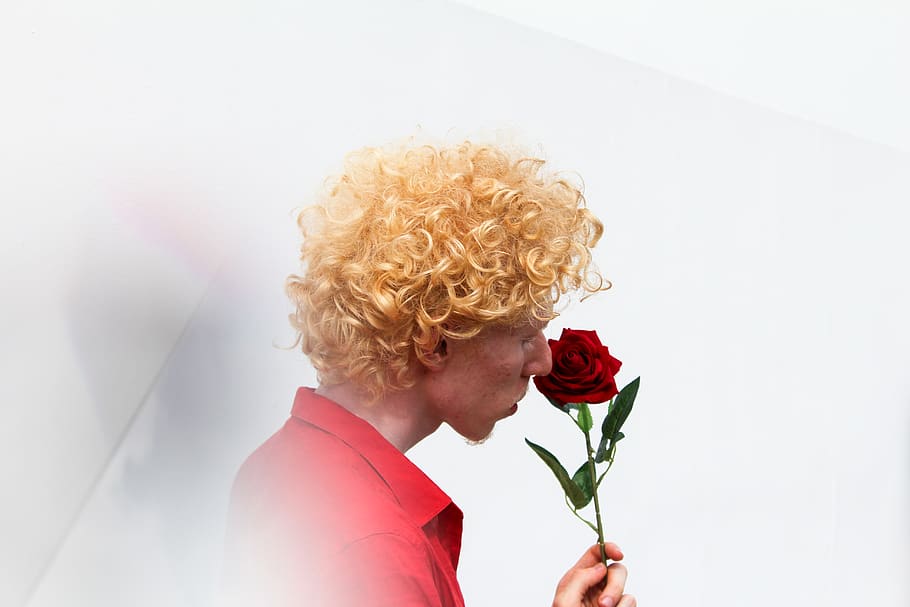 Man Holding Red Rose, blond, blonde, flora, flower, person, rose - flower HD wallpaper