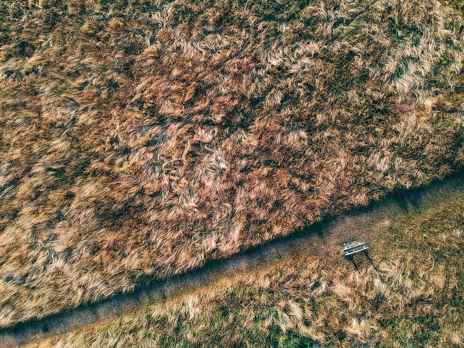 brown grass field, drone view, aerial view, bench, chair, park HD wallpaper