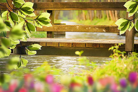 nature, spring, bridge, water, aesthetic, flowers, spring time HD wallpaper