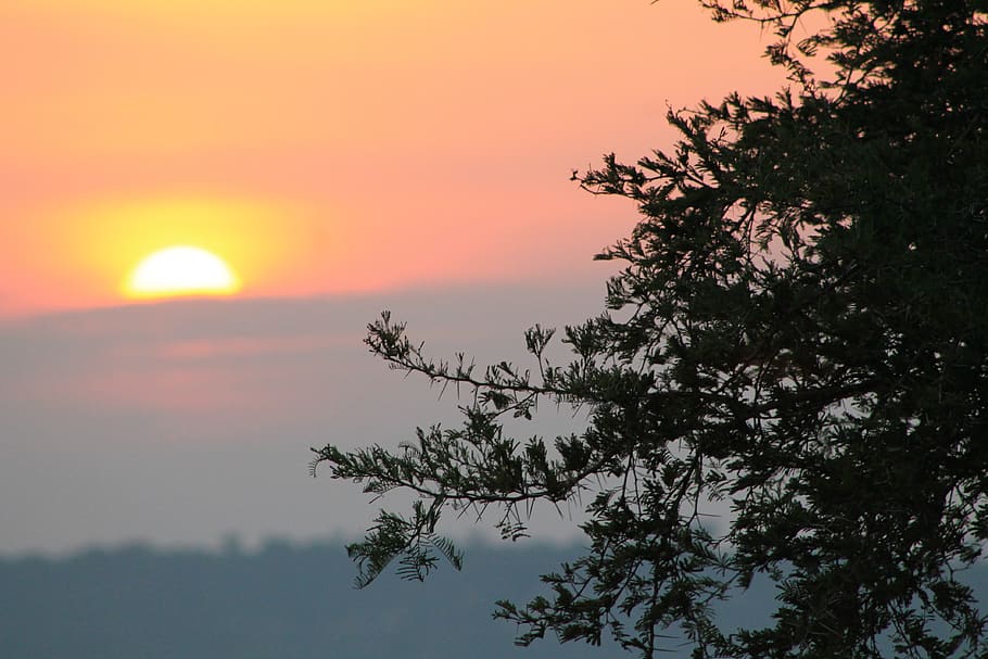 uganda, murchison falls uganda, sky, sunset, plant, beauty in nature HD wallpaper