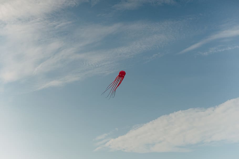 octopus, kite, flying, sky, blue, nature, city, urban, clouds