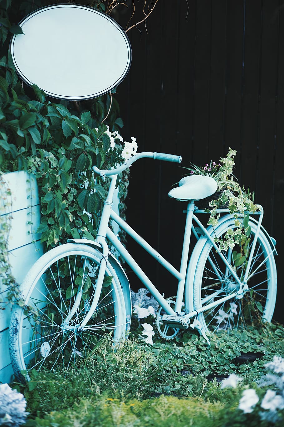 Blue Bicycle Near Green Plants, backyard, color, design, flora HD wallpaper