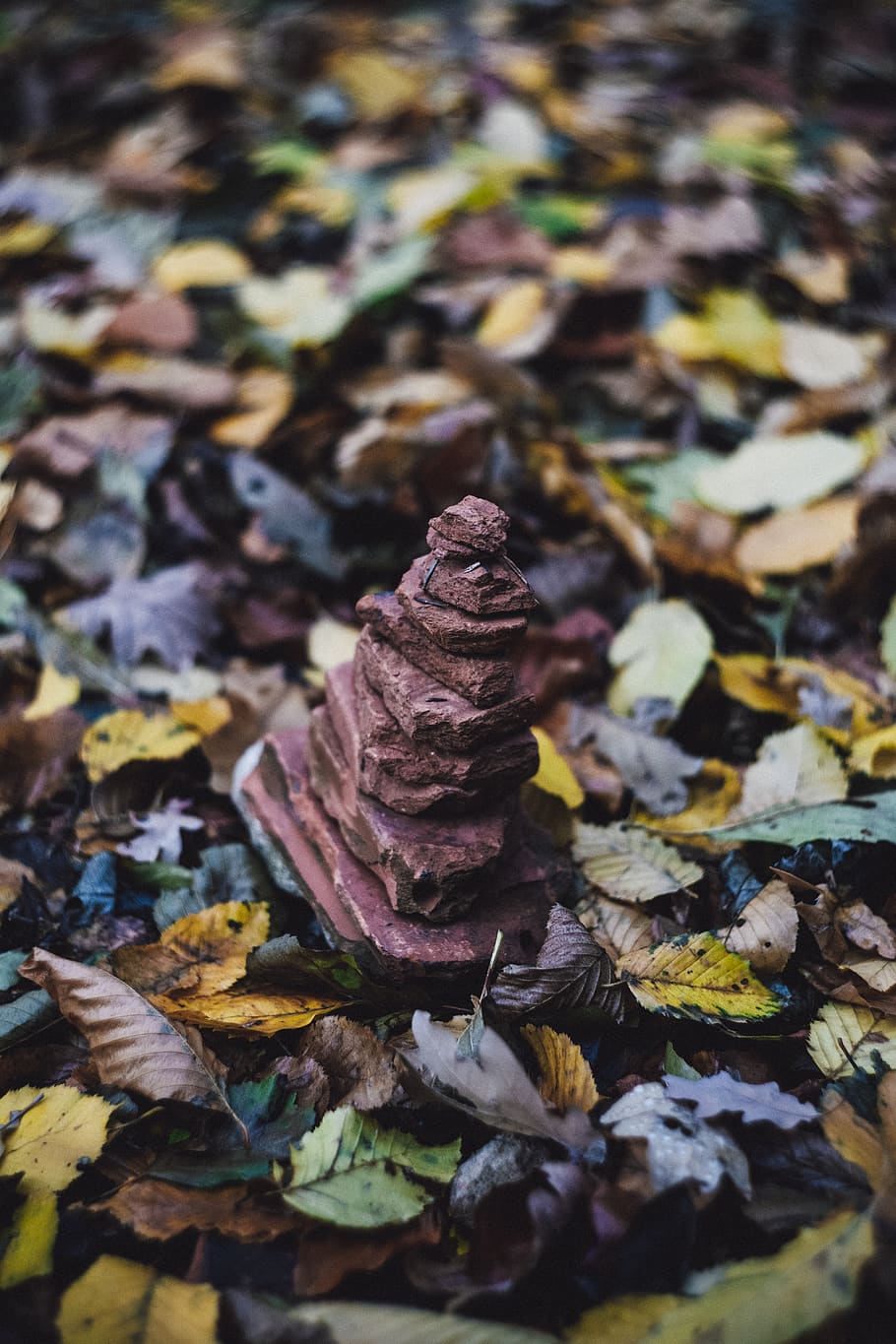 gray stone stack, plant part, leaf, close-up, autumn, no people HD wallpaper