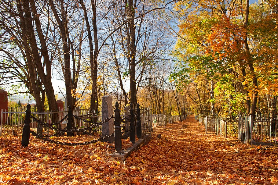 autumn, cemetery, fallleaves, graveyard, nobody, old, season, HD wallpaper