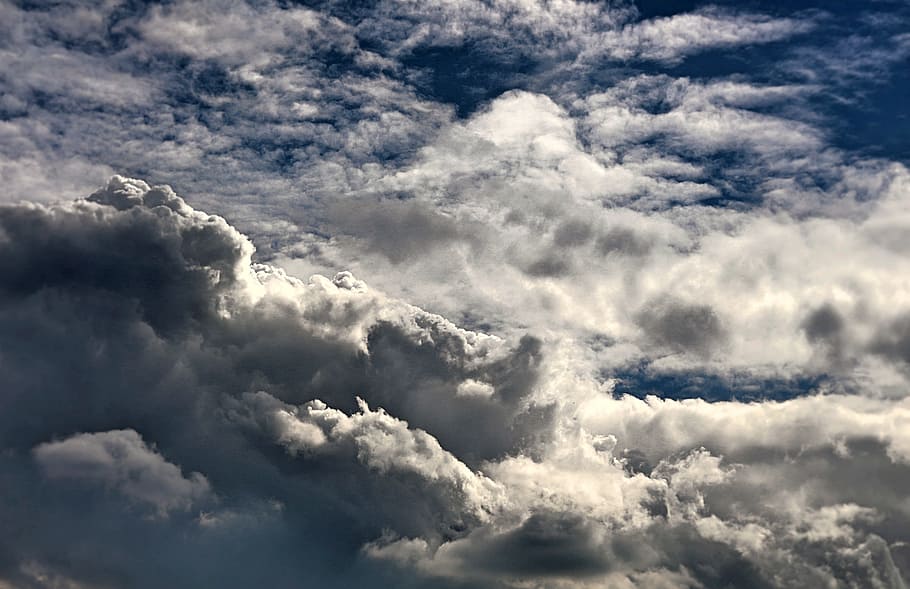 Cumulus Clouds, cloudiness, cloudy, daylight, dramatic, heaven HD wallpaper