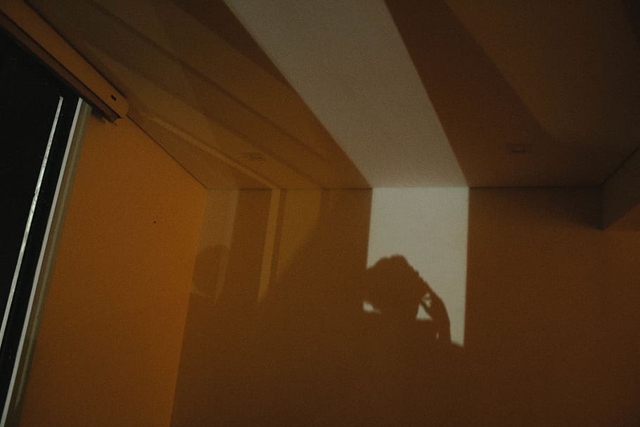 shadow cast on wall, wood, plywood, light, flare, flooring, interior design HD wallpaper