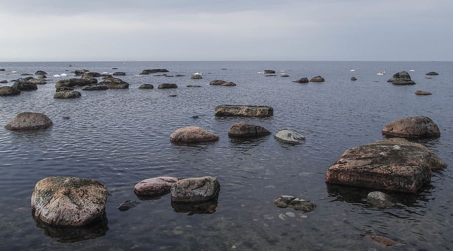 Stone in Beach Photograph, dawn, landscape, nature, ocean, rocks HD wallpaper
