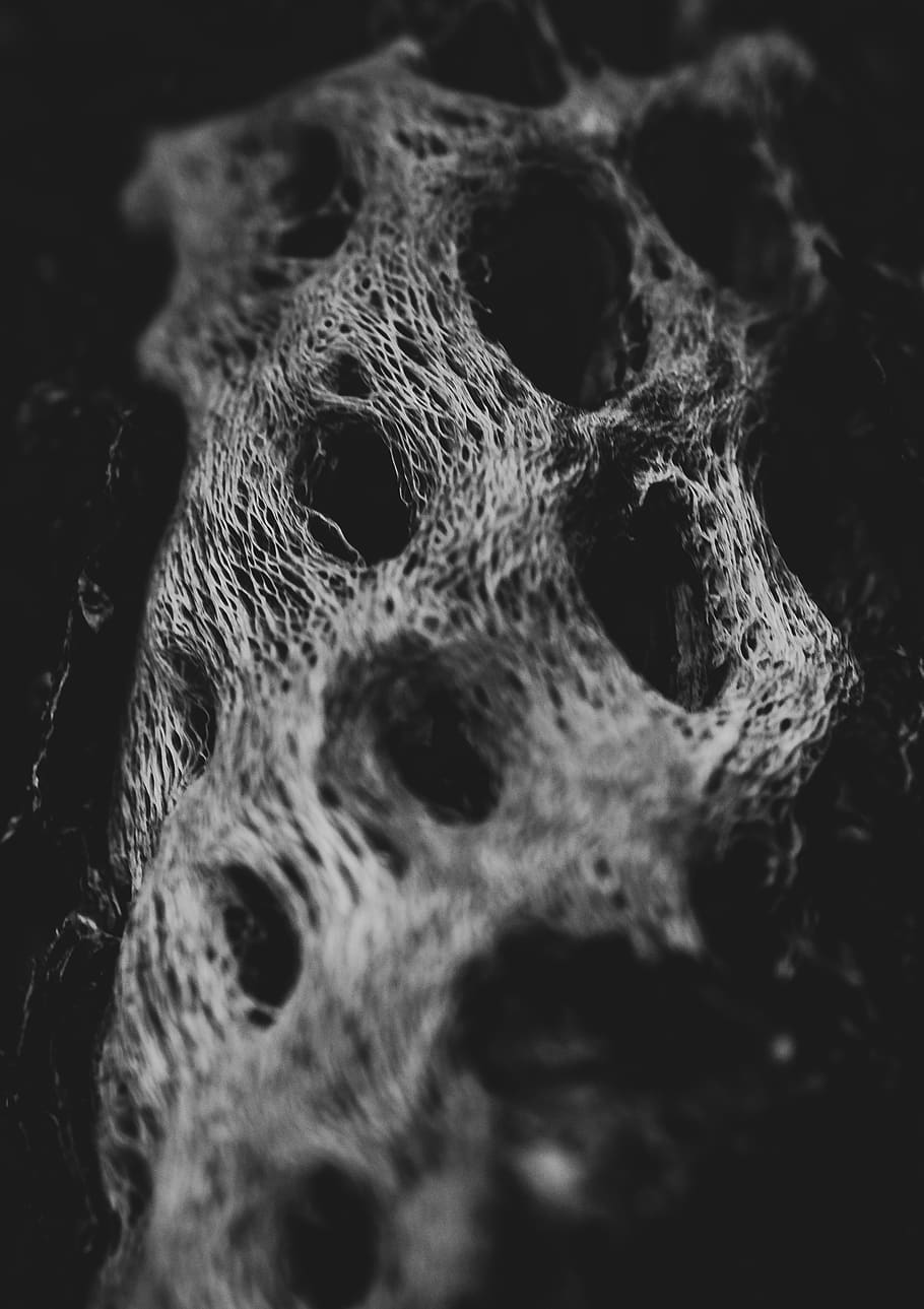 macro, textures, wood, tree, desert, wallpaper, close-up, no people HD wallpaper