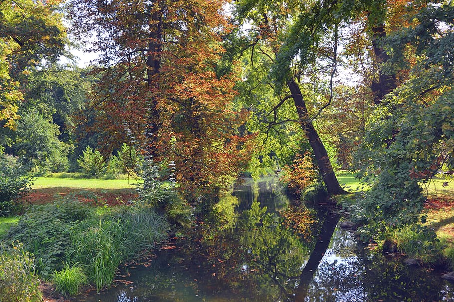 landscape, trees, river, channel, water, mirroring, reflection HD wallpaper