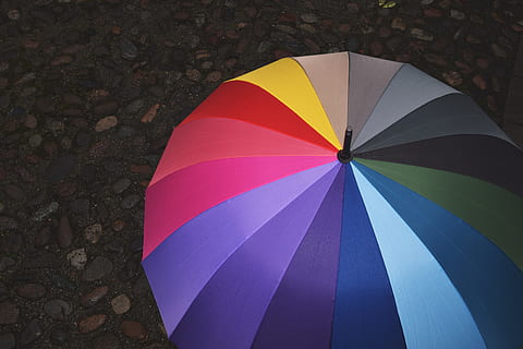 Umbrella on Rainy Day, various, bright, color, colors, colour HD wallpaper
