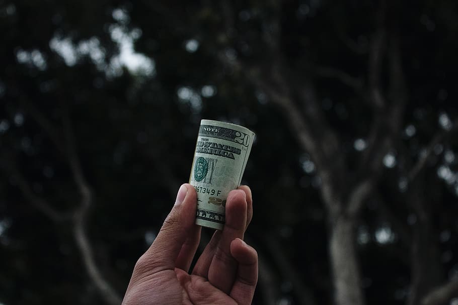 dark, tree, hand, bill, money, dollar, human hand, human body part HD wallpaper